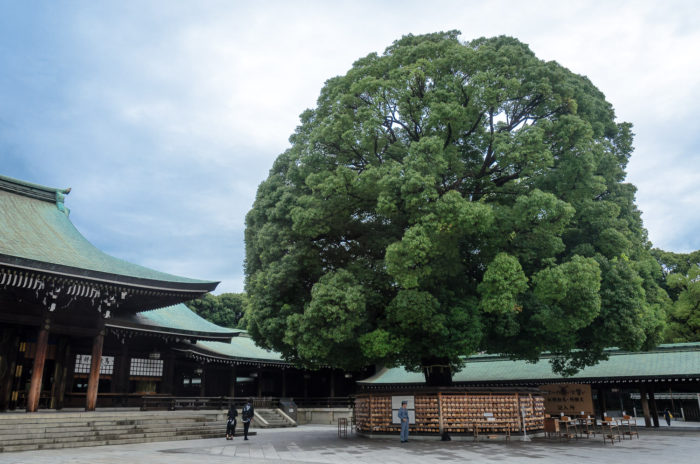 meiji-shrine-8967