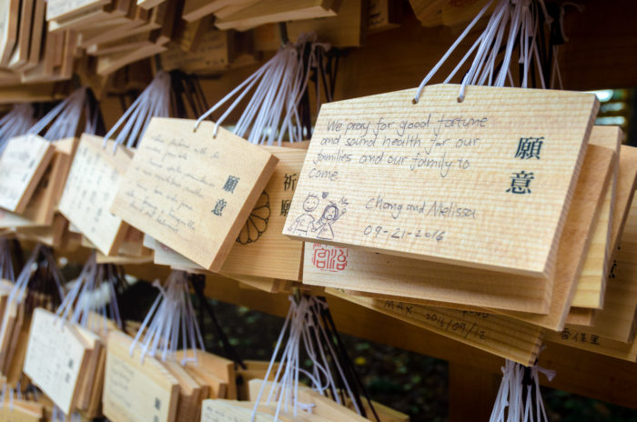 meiji-shrine-8984